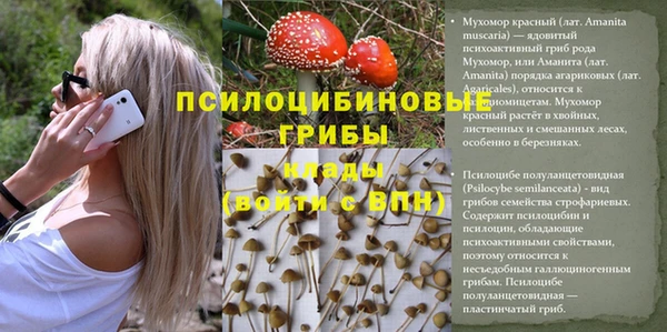 мет Нея