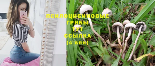 мет Нея