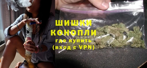 сатива Болхов