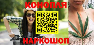 трава Бийск