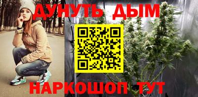 трава Бийск