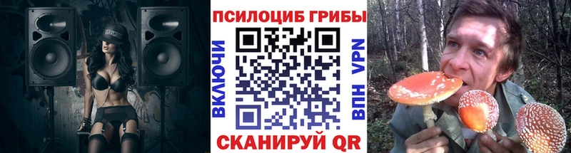 Псилоцибиновые грибы Cubensis  ссылка на мегу ссылки  Шарыпово  дарнет шоп 