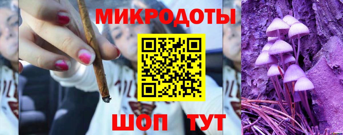 Псилоцибиновые грибы Psilocybe  сколько стоит  Шарыпово 