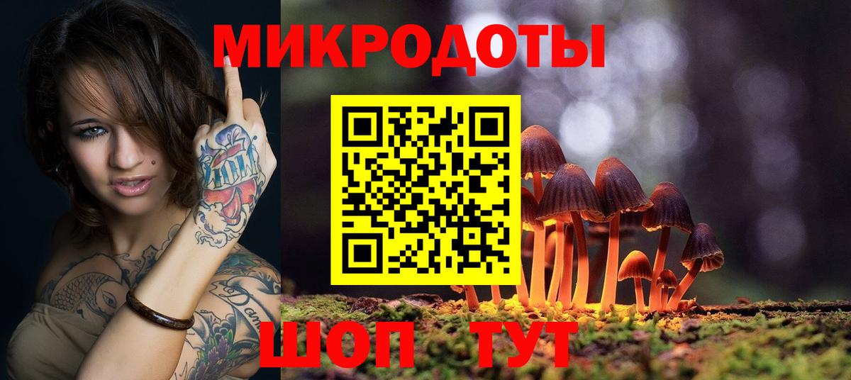 Псилоцибиновые грибы Psilocybine cubensis Шарыпово