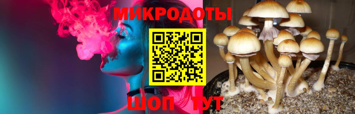 Шарыпово  Псилоцибиновые грибы ЛСД  Вход с VPN 