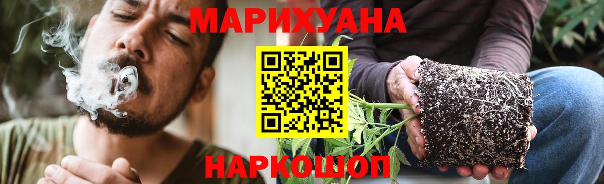 Бошки марихуана марихуана  МАРИХУАНА семена  Шишки марихуана марихуана  Шарыпово 